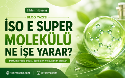 Iso E Super Ne İşe Yarar? Nerede Satılır?